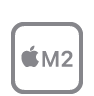 Chip m2 icon